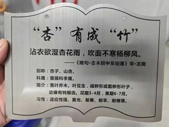 爱护树木的标牌效果图